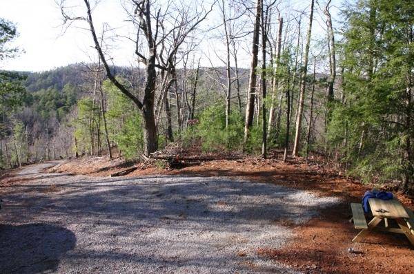 Tellico Plains, TN 37385,300 Wildcat Rd