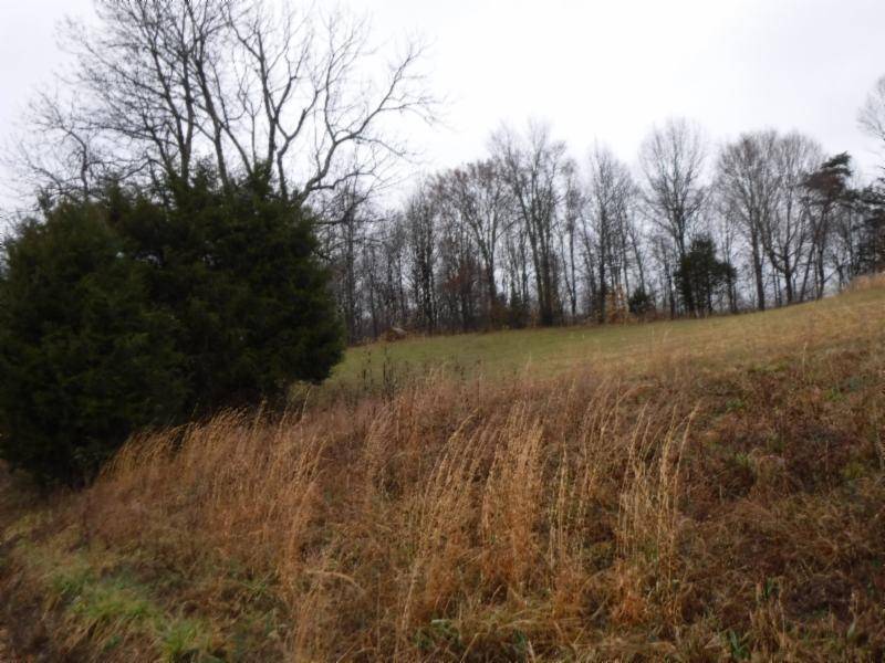 Moss, TN 38575,Lot 4 Arrowhead Rd