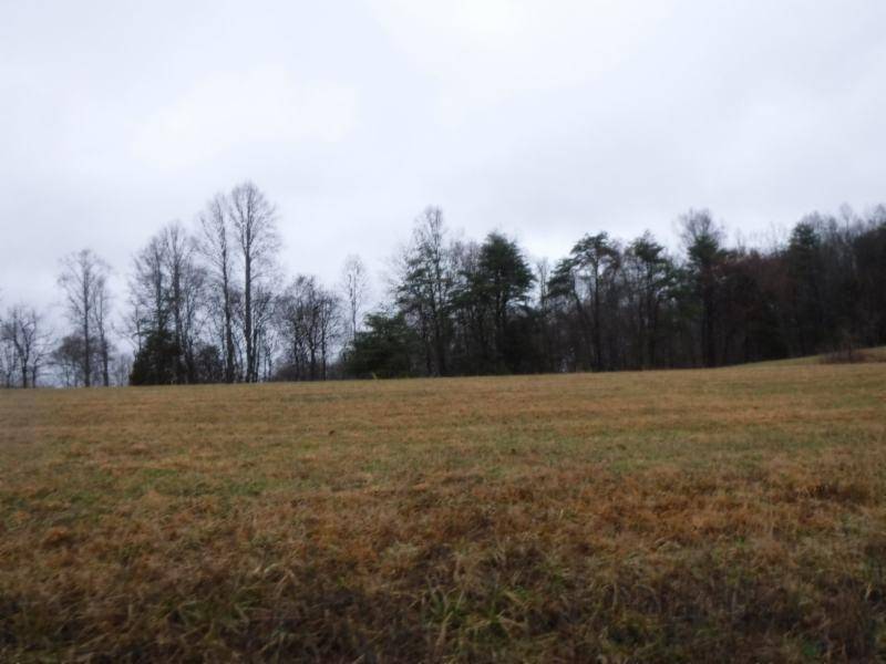 Moss, TN 38575,Lot 4 Arrowhead Rd