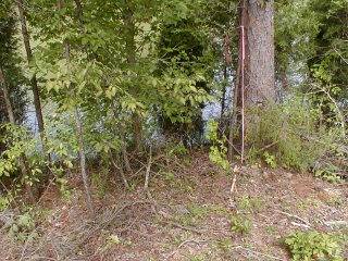 Rockwood, TN 37854,Lot 61 Blue Heron DR