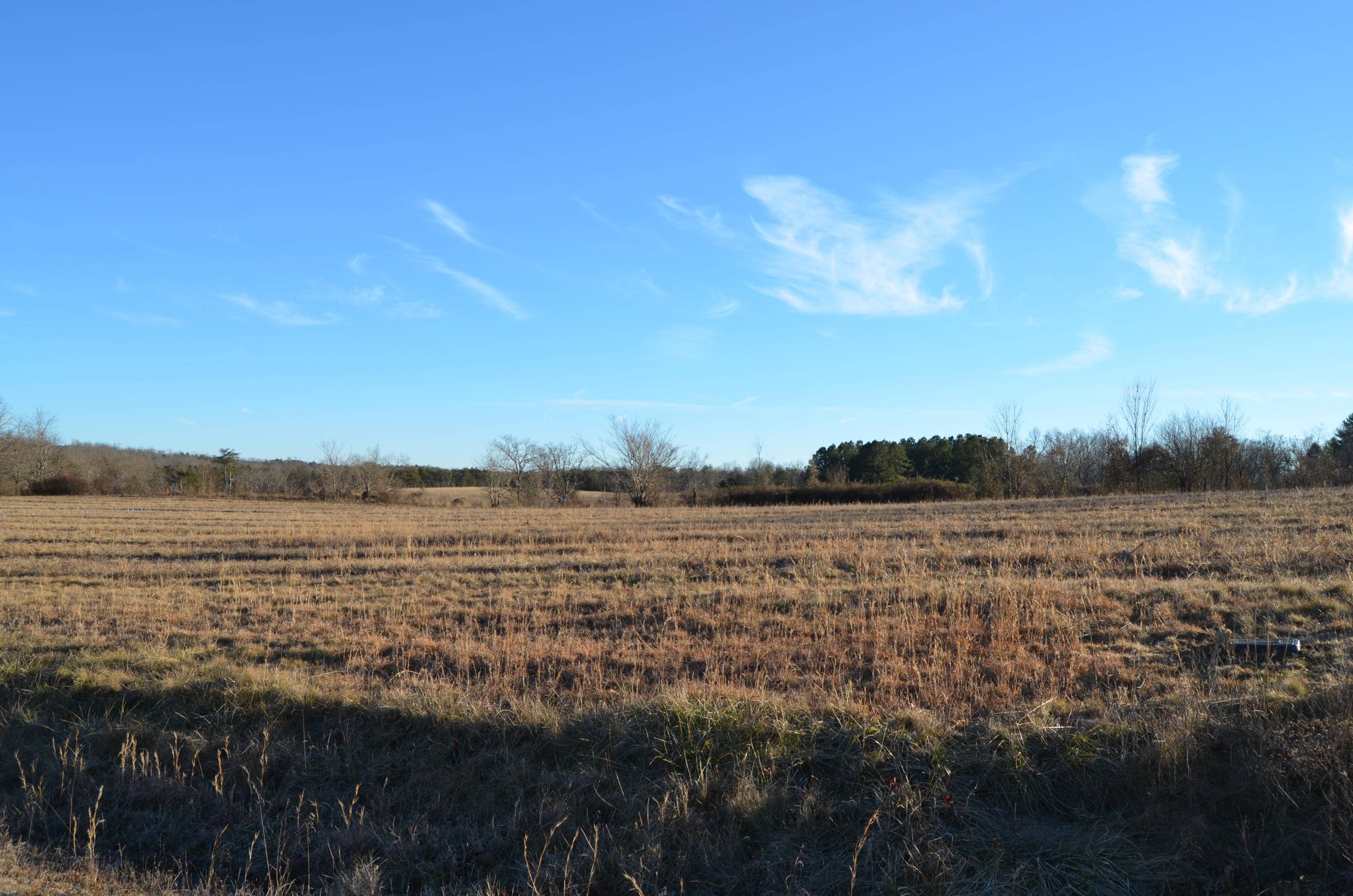 Crossville, TN 38572,Perry Creek Lot 4 DR