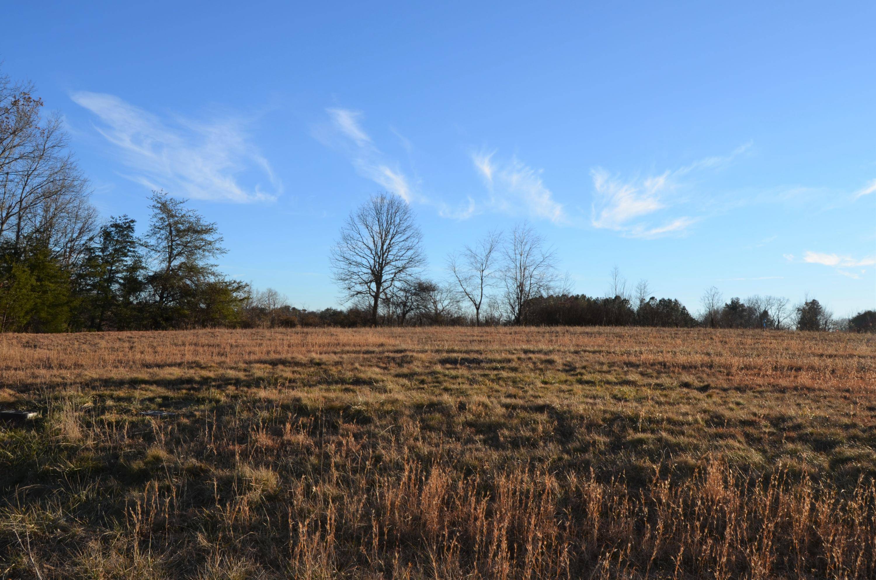 Crossville, TN 38572,Perry Creek Lot 8 DR