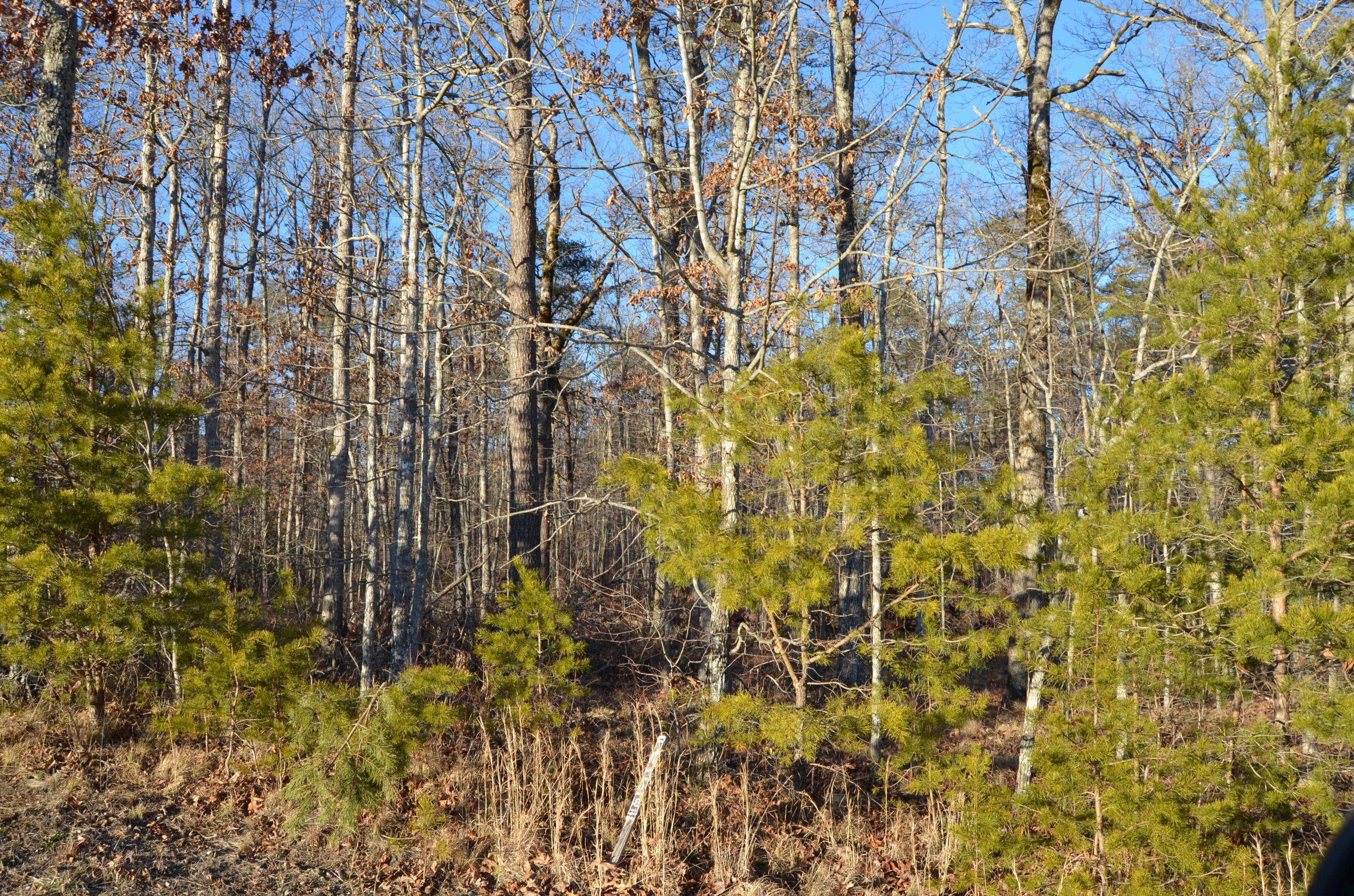 Crossville, TN 38572,Perry Creek Lot 14 DR