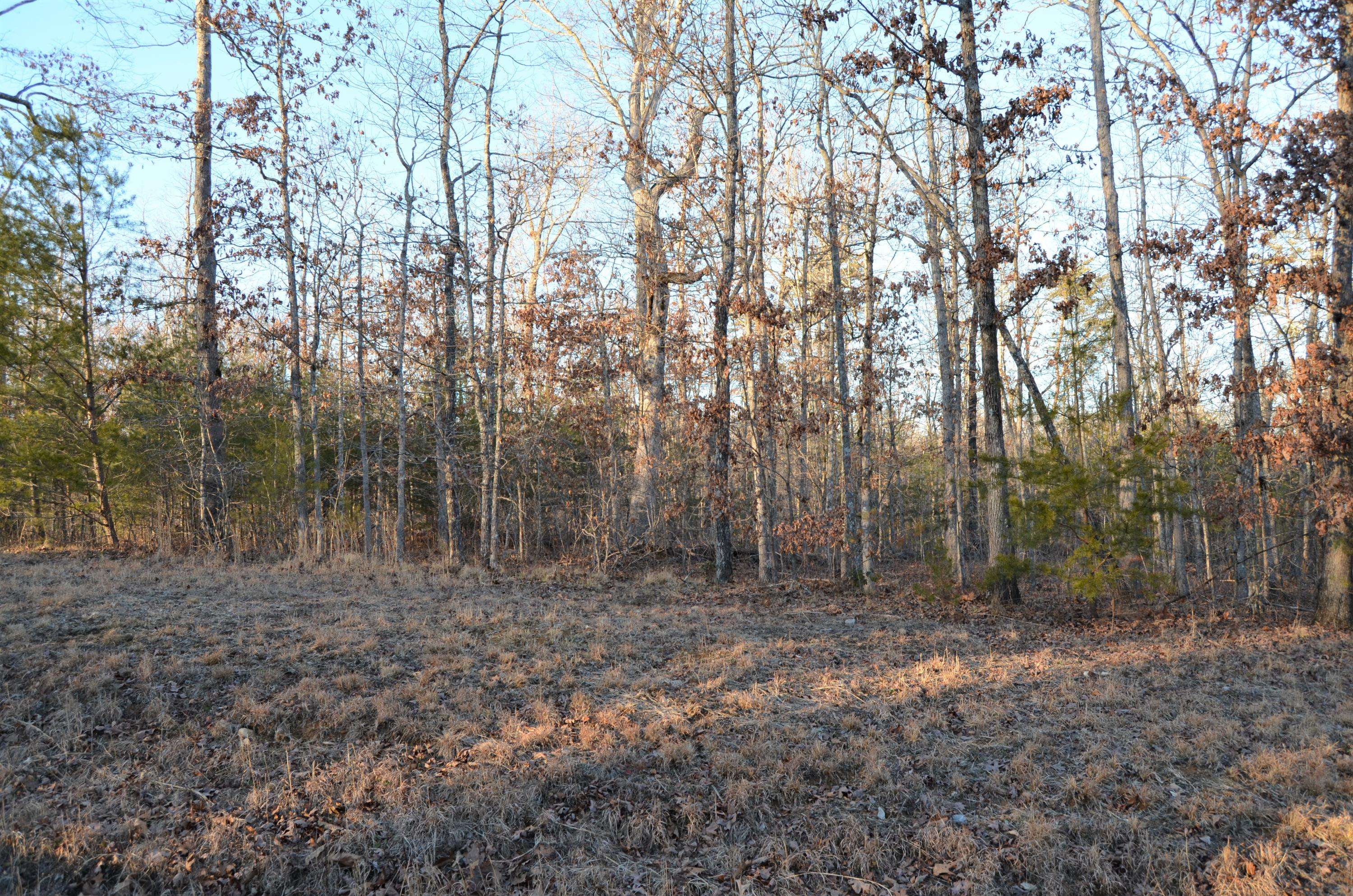 Crossville, TN 38572,Perry Creek Lot 15 DR