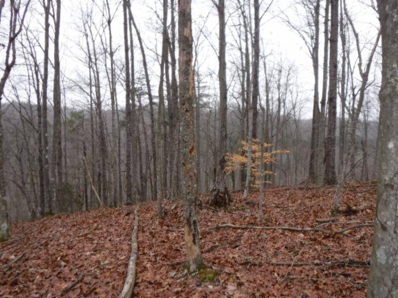 Moss, TN 38575,27.16ac Arrowhead Rd