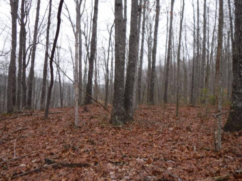 Moss, TN 38575,27.16ac Arrowhead Rd