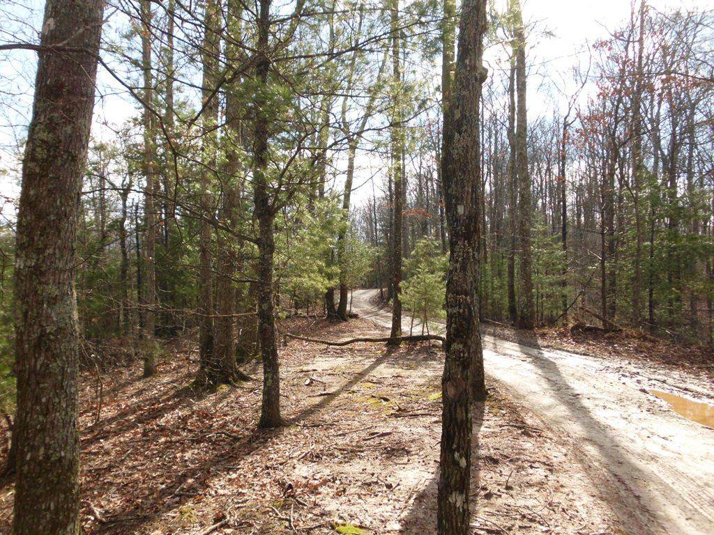 Tellico Plains, TN 37385,Off Rafter Rd