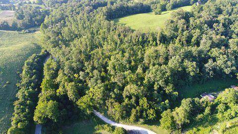 Speedwell, TN 37870,Greasy Hollow Road - Off Rd