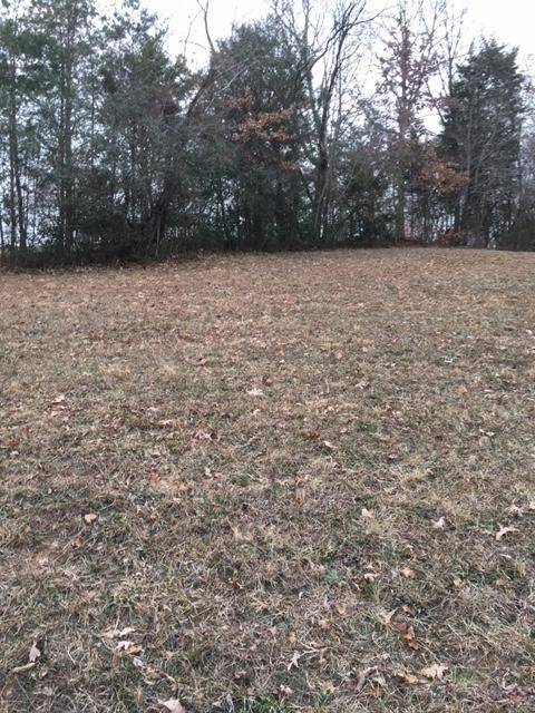 Dandridge, TN 37725,Lot 5 Morningside LN