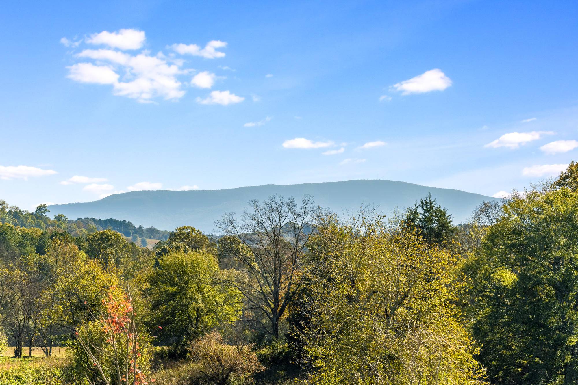 Charleston, TN 37310,Lot 17 Mountain Meadows Estates