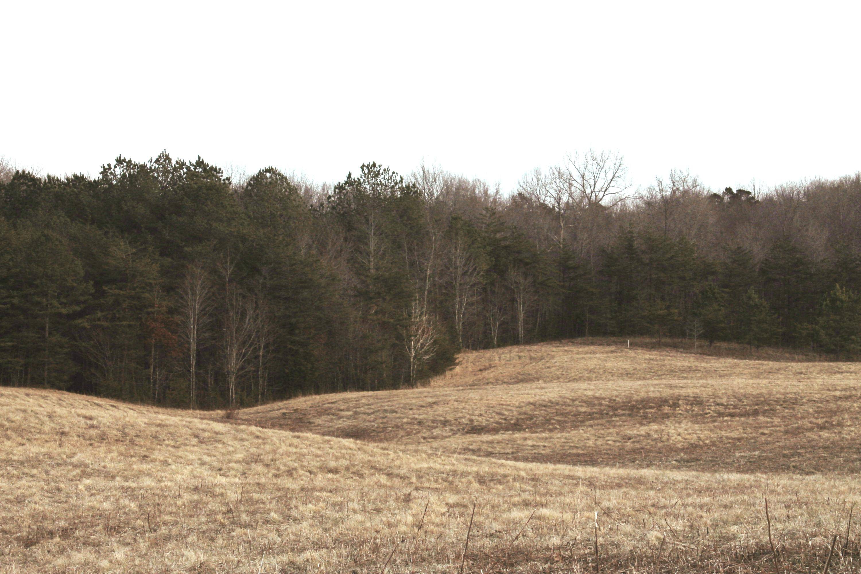 Jamestown, TN 38556,Lot 65 Vista View Parkway