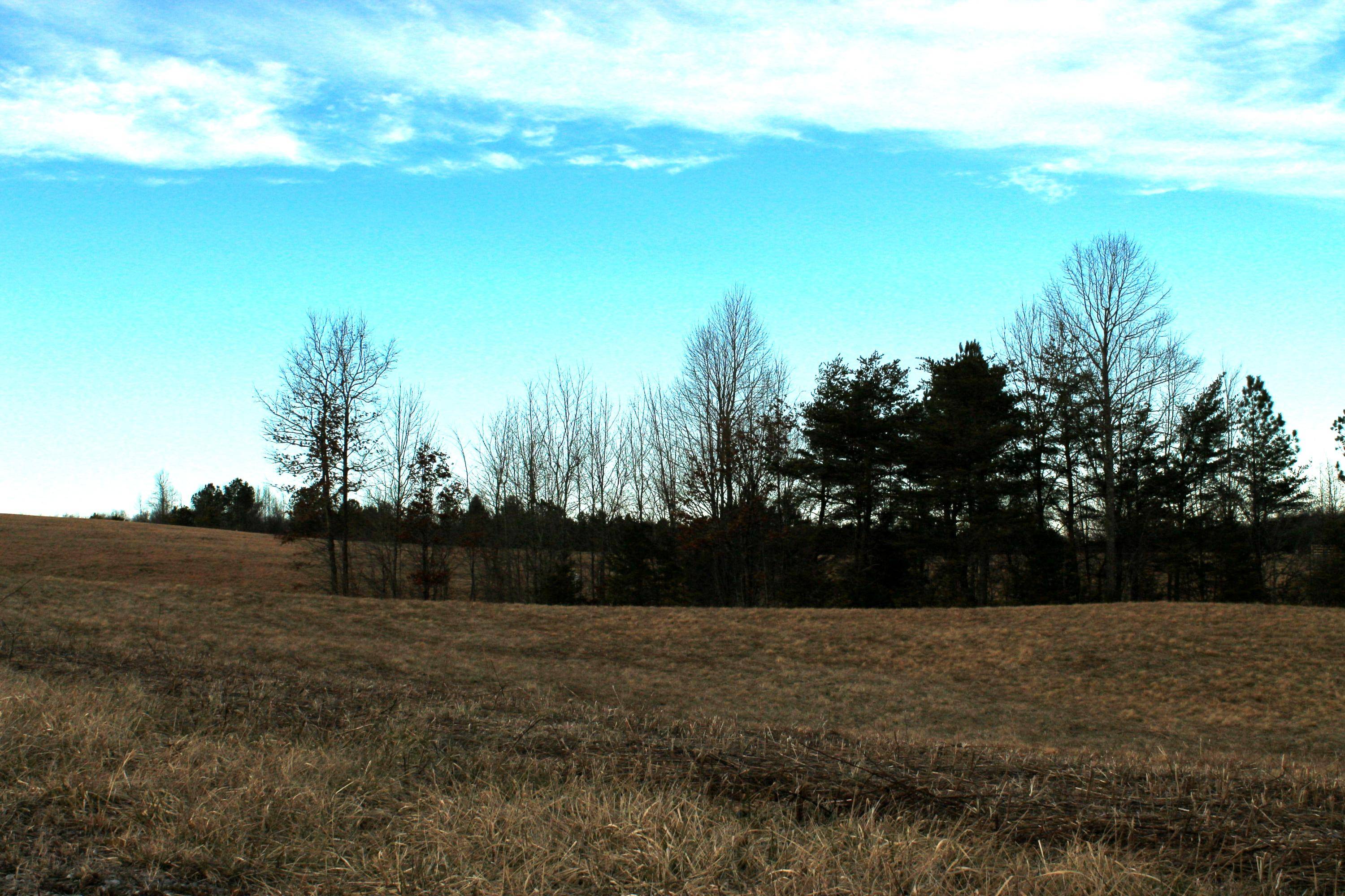 Jamestown, TN 38556,Lot 65 Vista View Parkway