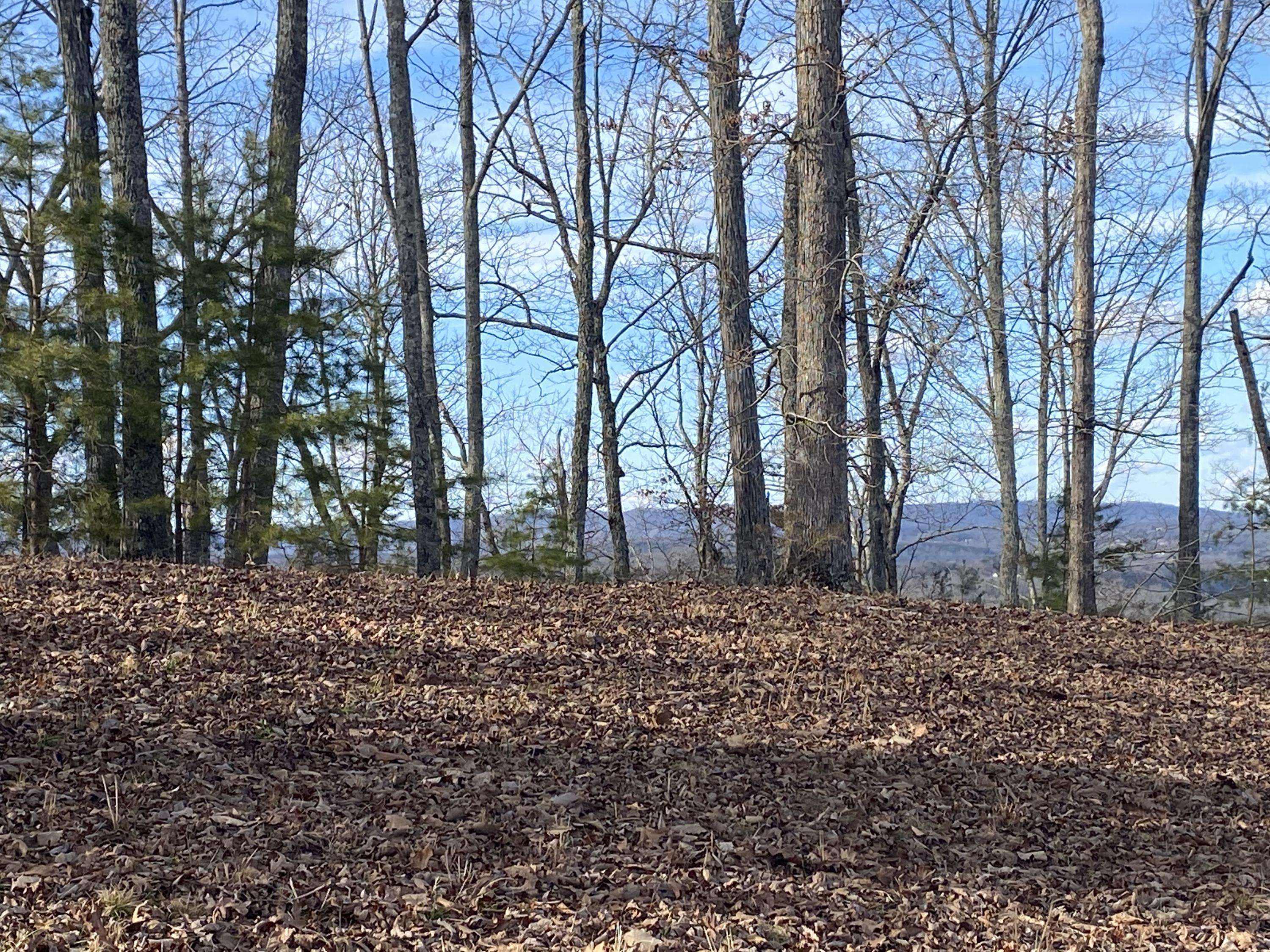 Kingston, TN 37763,141 Highland Reserve WAY