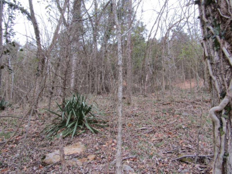 Carthage, TN 37030,0.30ac Hartsville PIKE