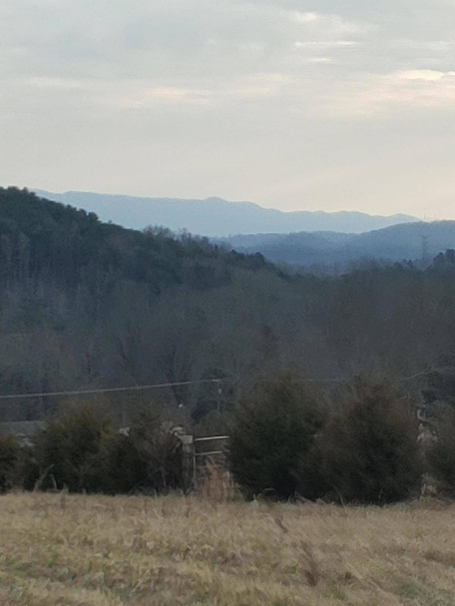 Strawberry Plains, TN 37871,Thorn Grove PIKE