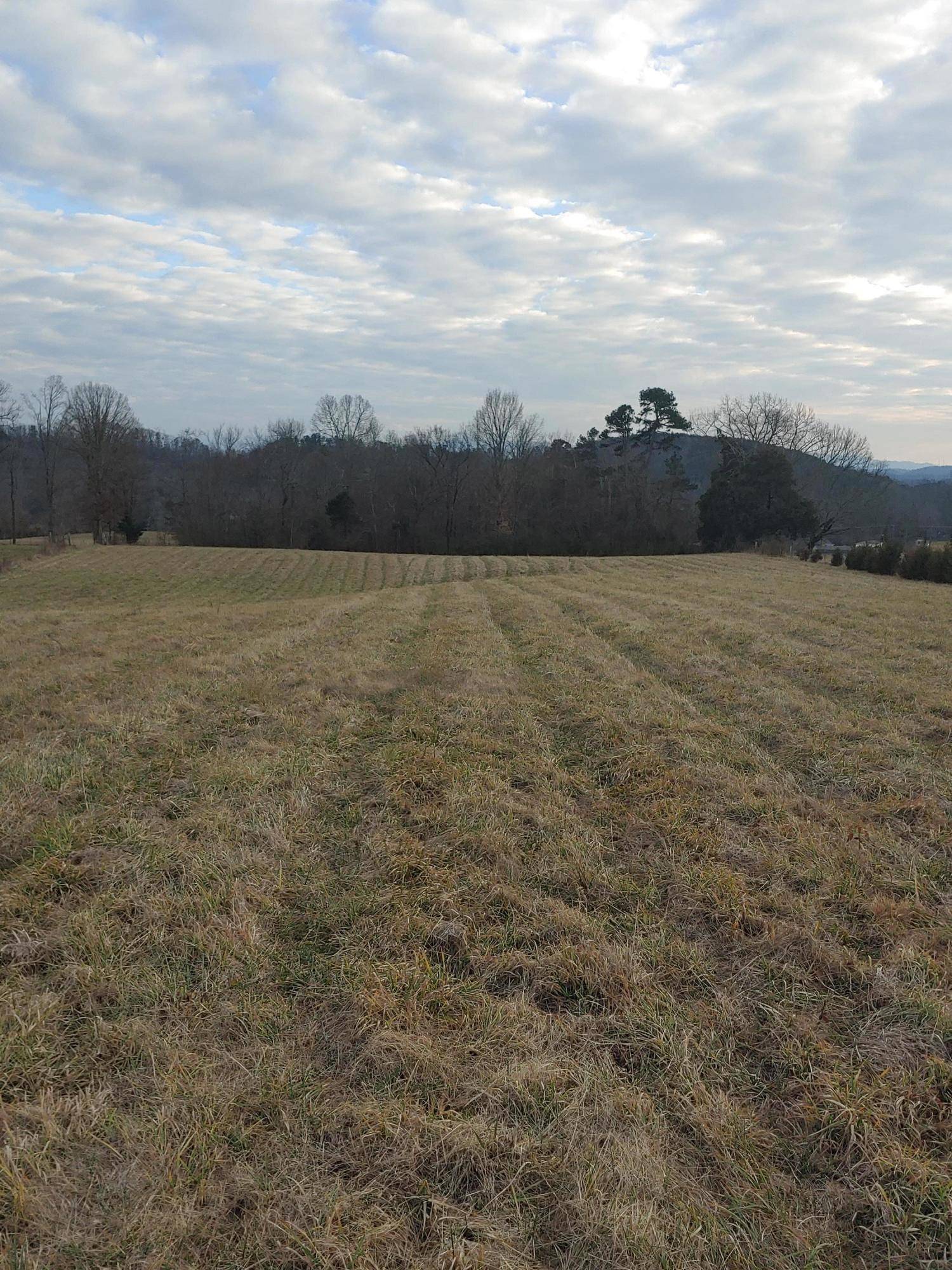 Strawberry Plains, TN 37871,Thorn Grove PIKE