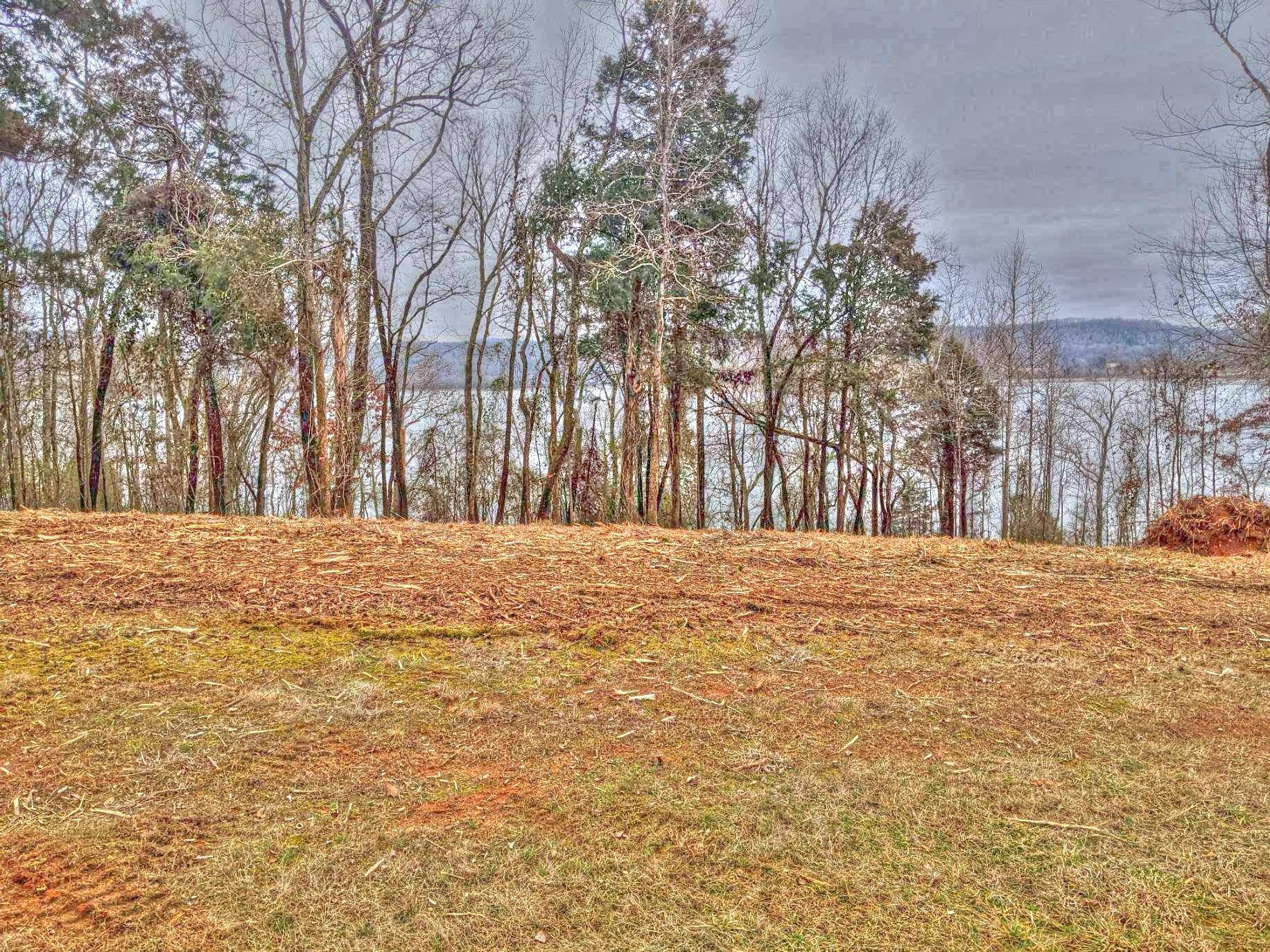 Rockwood, TN 37854,Lot 176 Shore DR