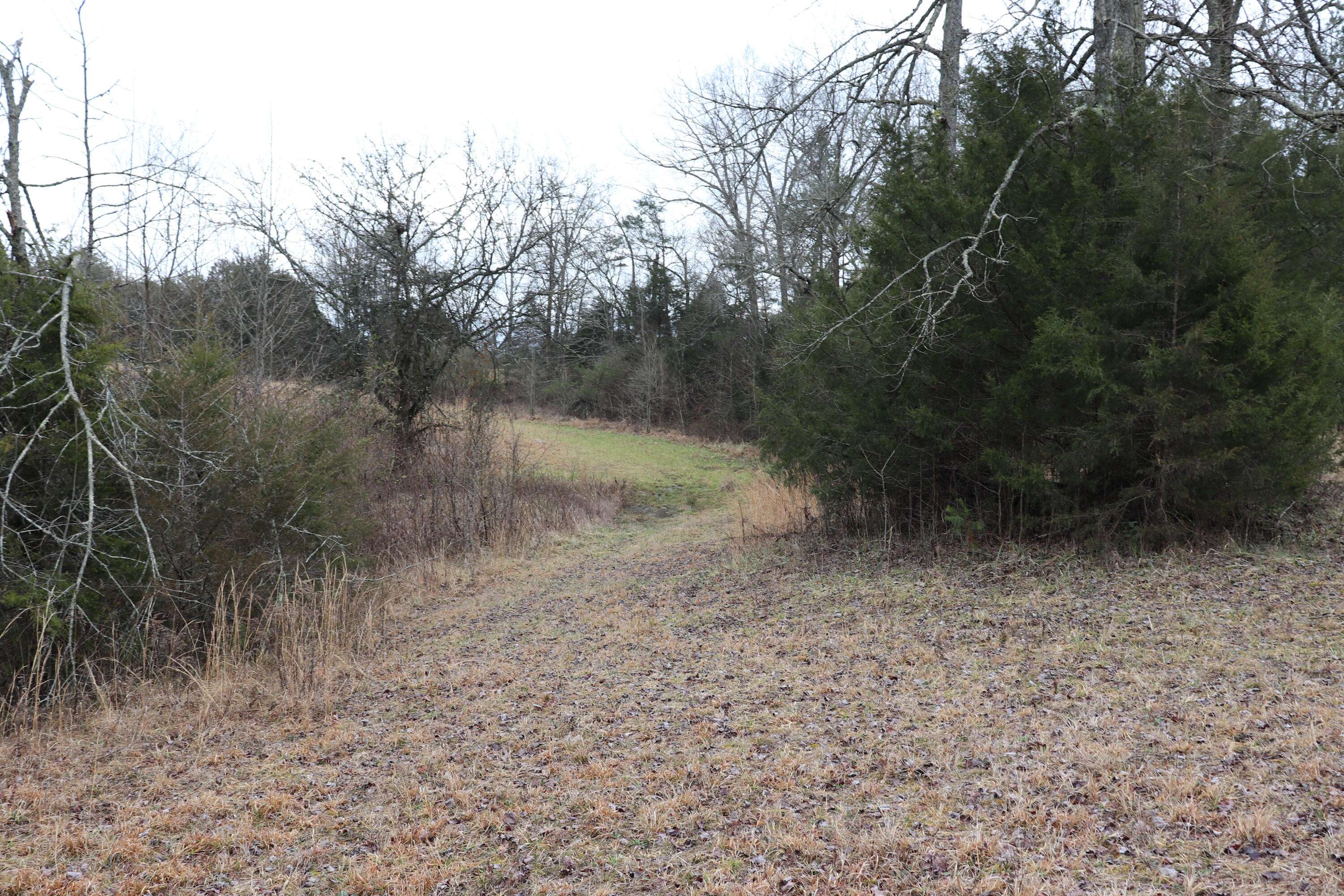 Athens, TN 37303,000 County Road 635