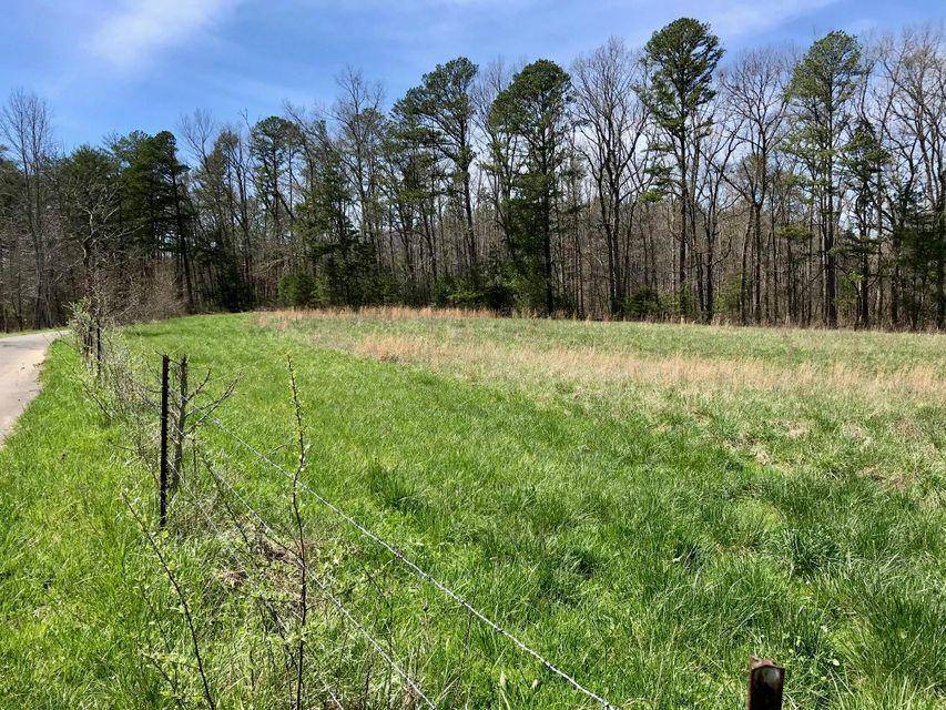 Tellico Plains, TN 37385,209 Massingale Rd