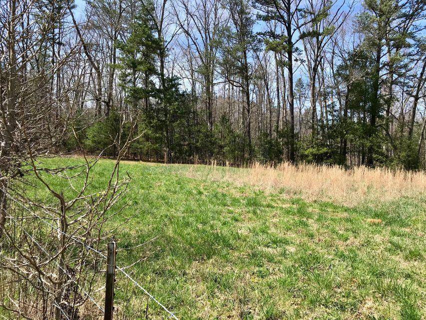 Tellico Plains, TN 37385,209 Massingale Rd