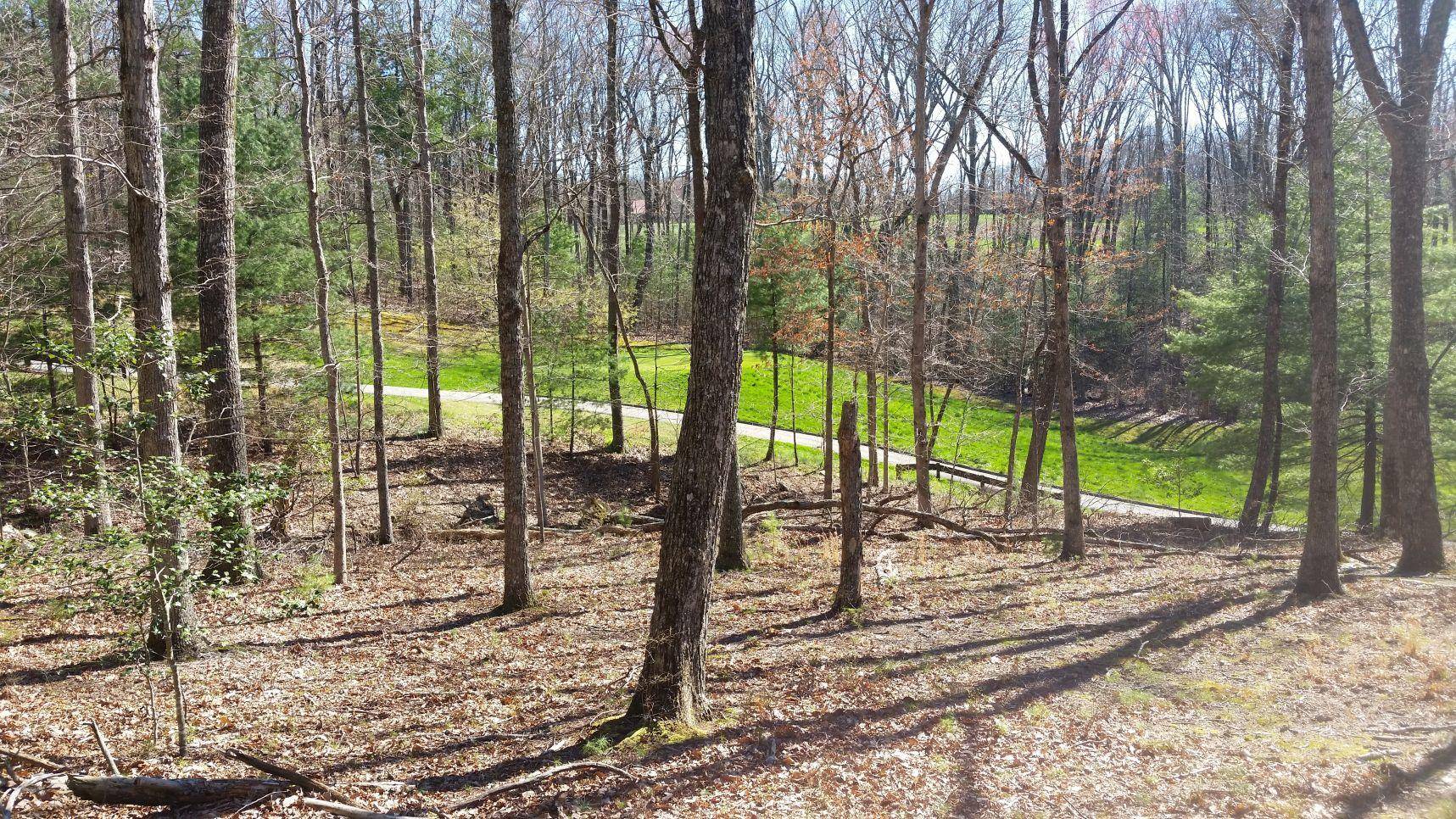 Fairfield Glade, TN 38558,Wexford LN