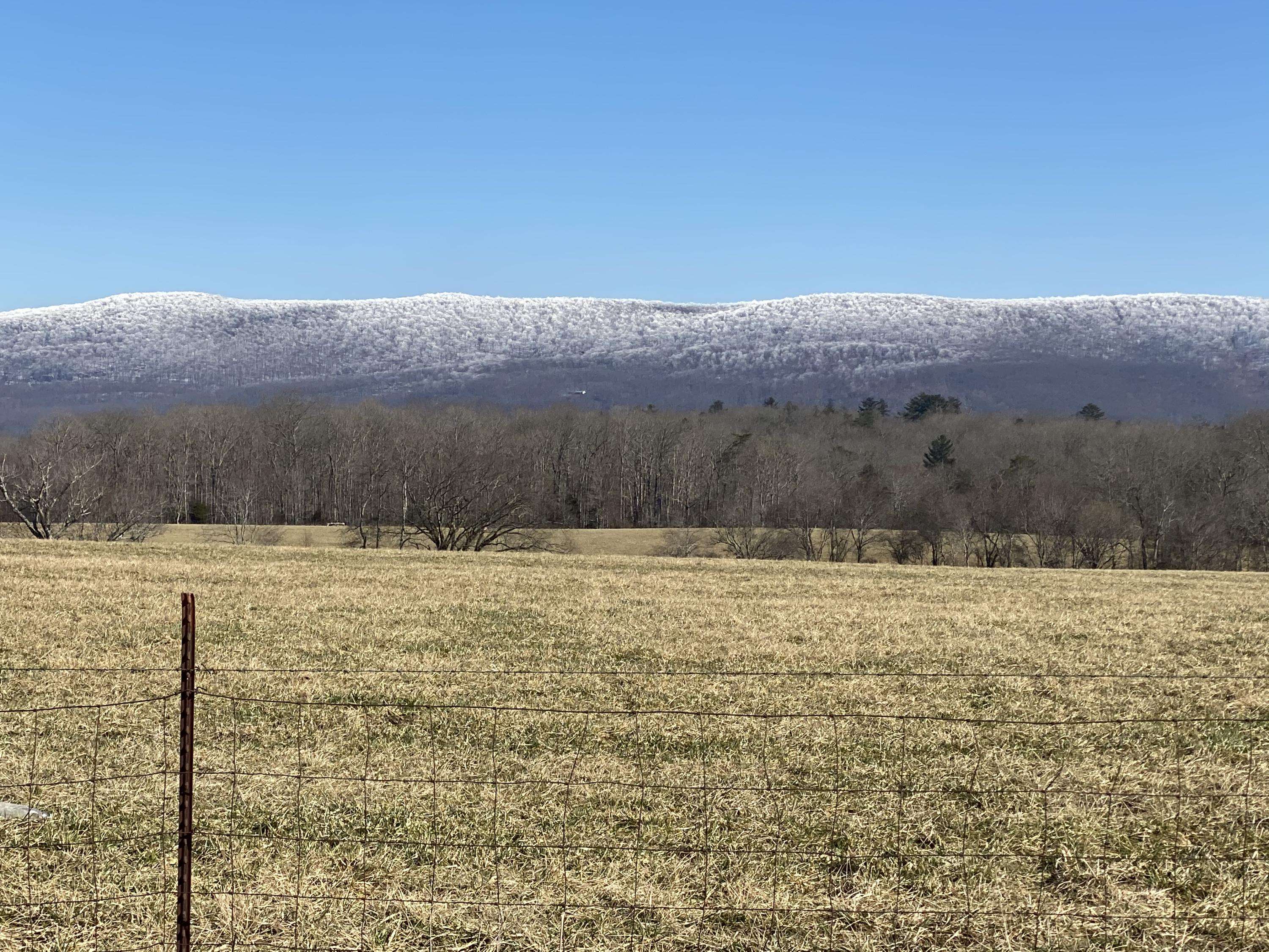 Crossville, TN 38572,Lot 11 Winningham Rd