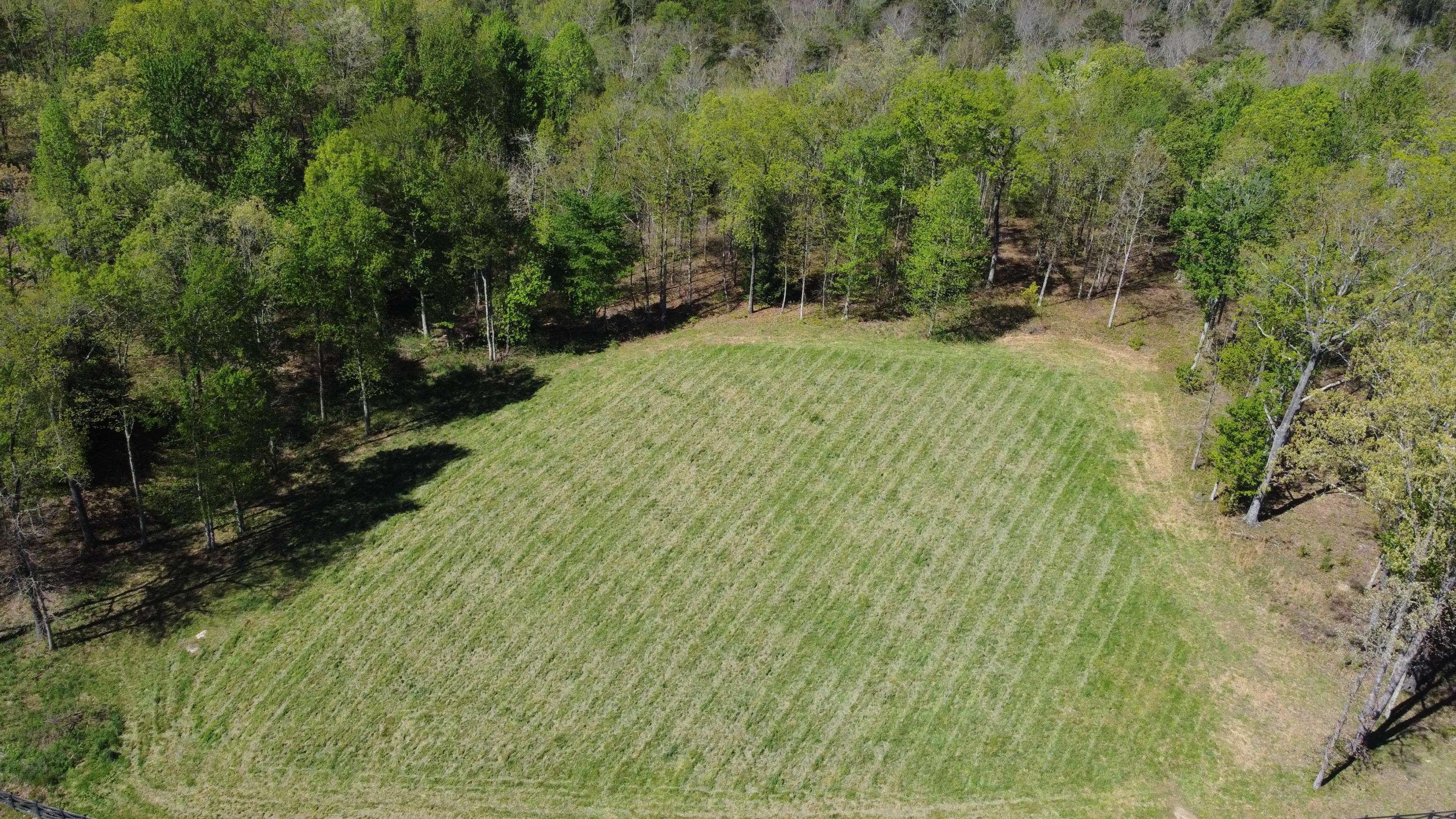 Jamestown, TN 38556,Lot 76 Eagle Bluff