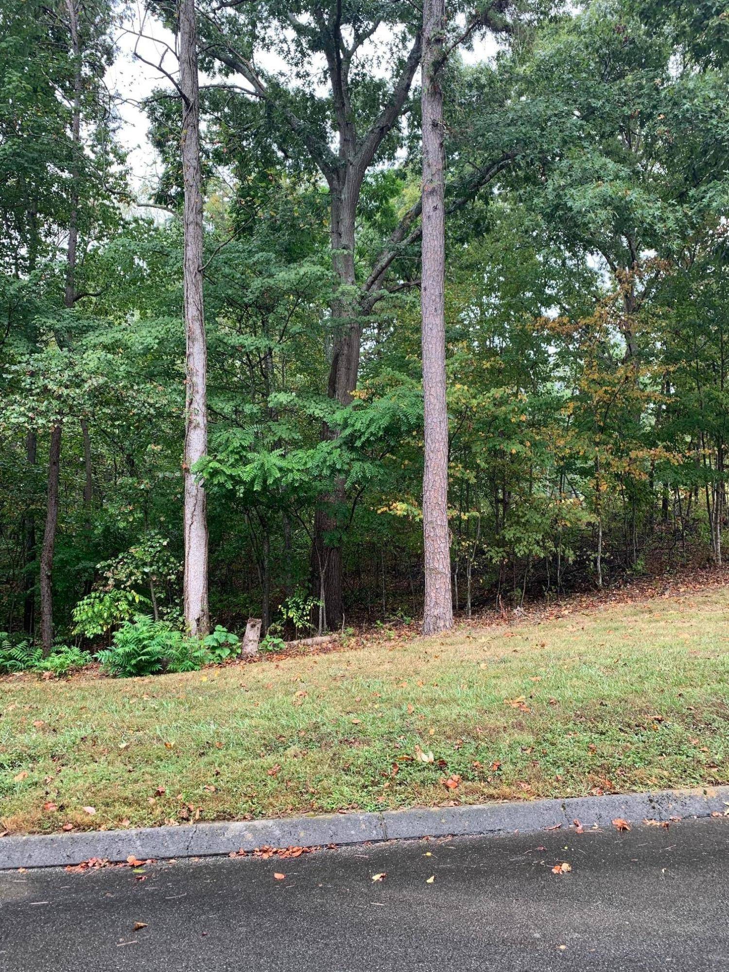 Rutledge, TN 37861,Lot 180 Woodstock DR