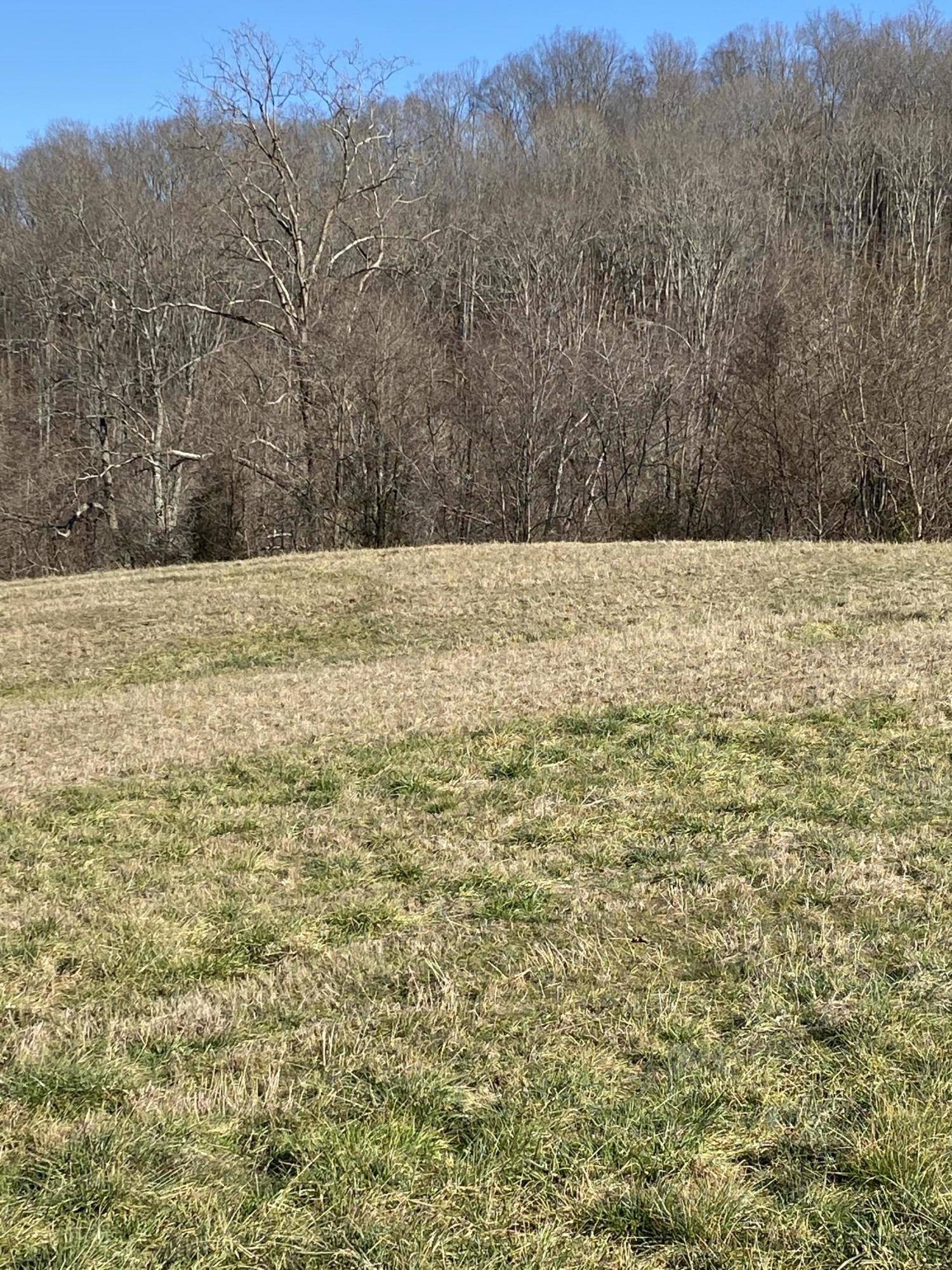 Maynardville, TN 37807,Bob Wright Rd Lot 33