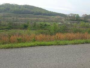 Harriman, TN 37748,Swan Pond Circle Rd