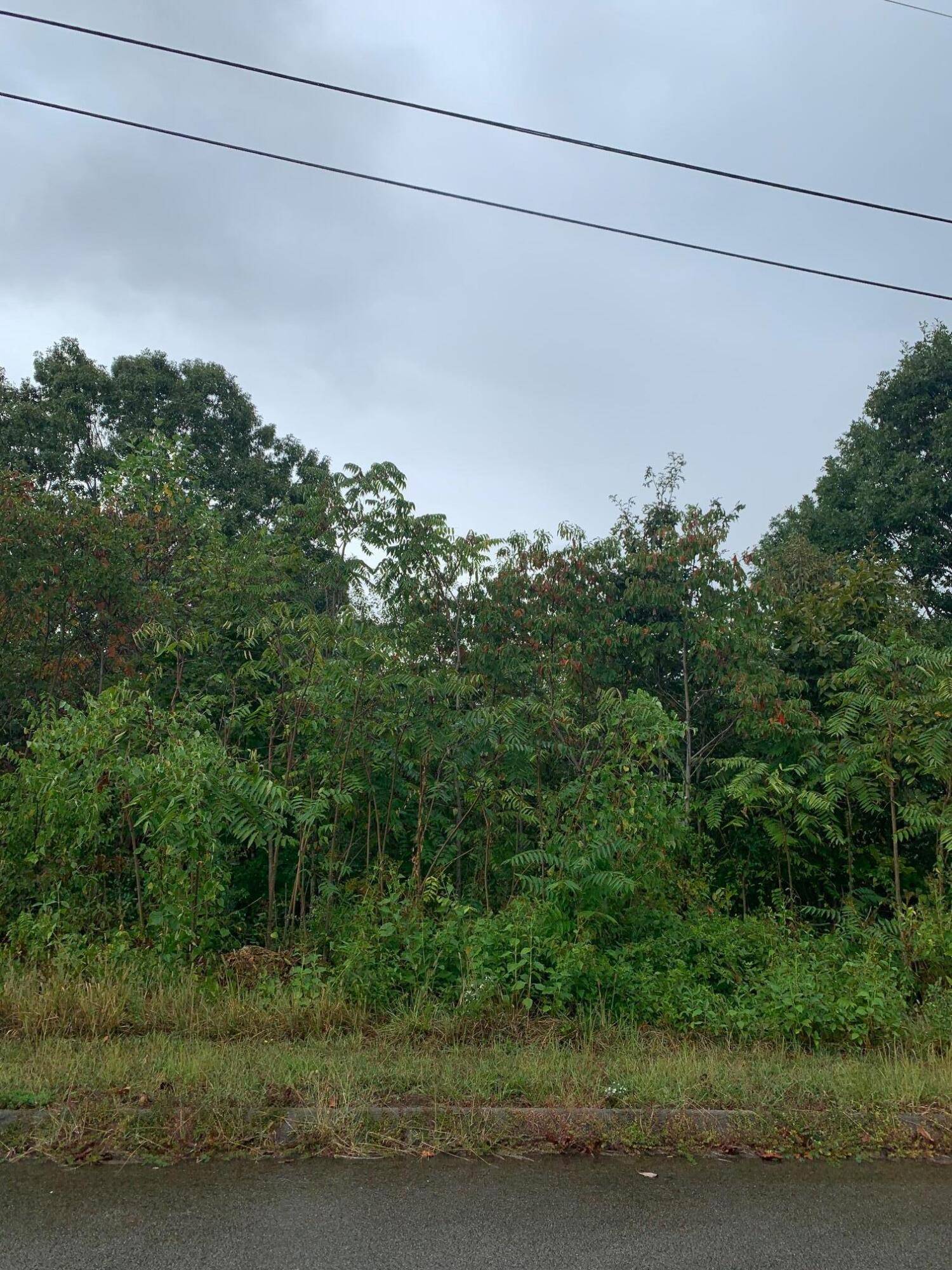 Rutledge, TN 37861,Lot 168 Woodstock DR