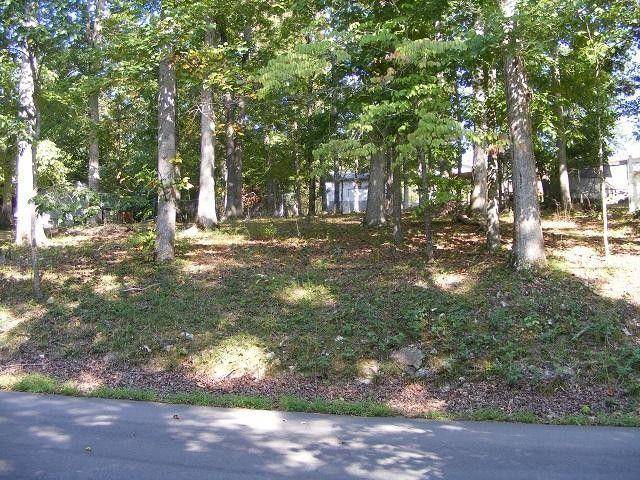 New Tazewell, TN 37825,Cape Norris Rd