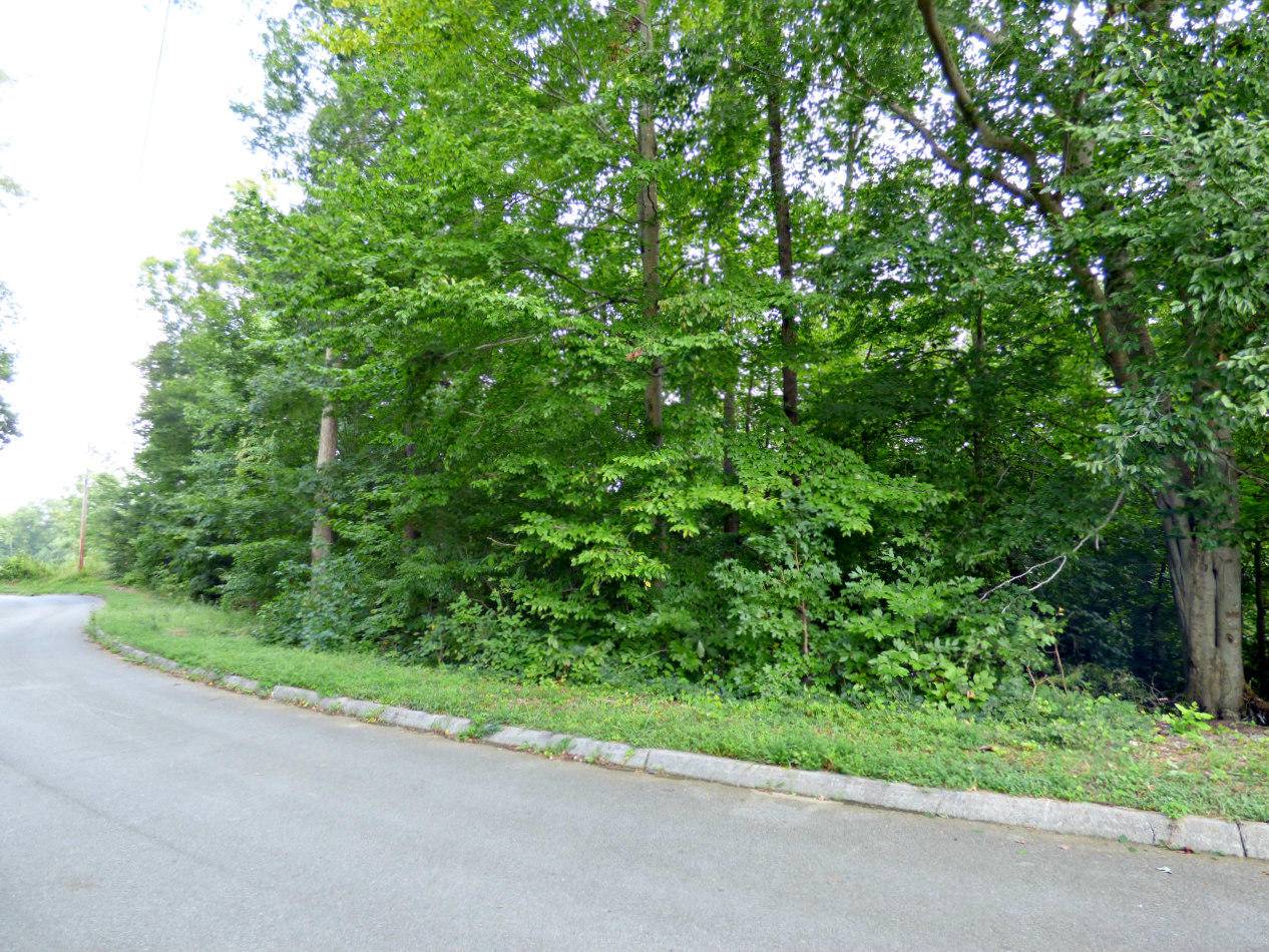 Dandridge, TN 37725,Lot 2 Persimmon Orchard DR