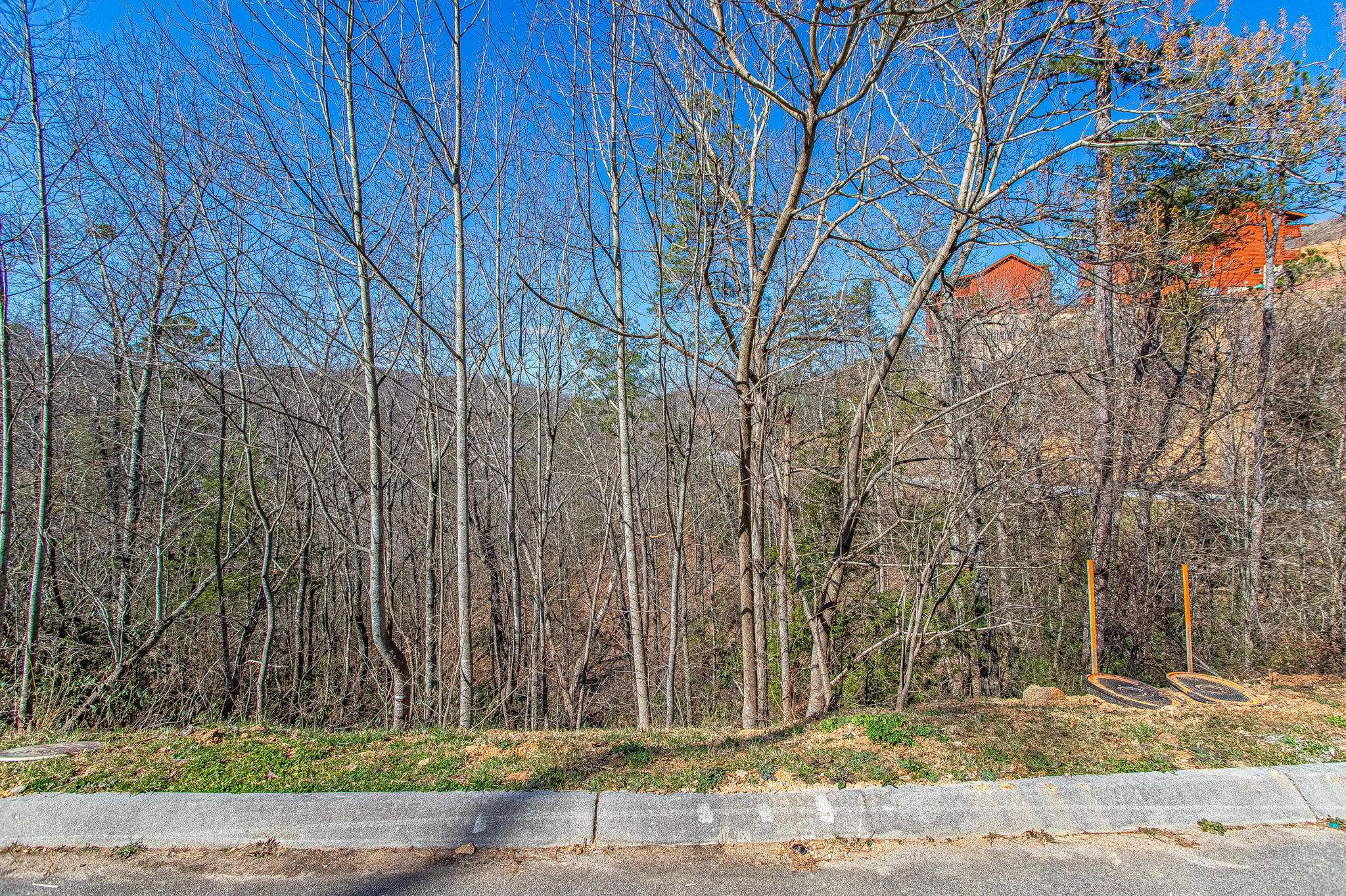 Sevierville, TN 37862,Lot #63 Smoky Ridge Way