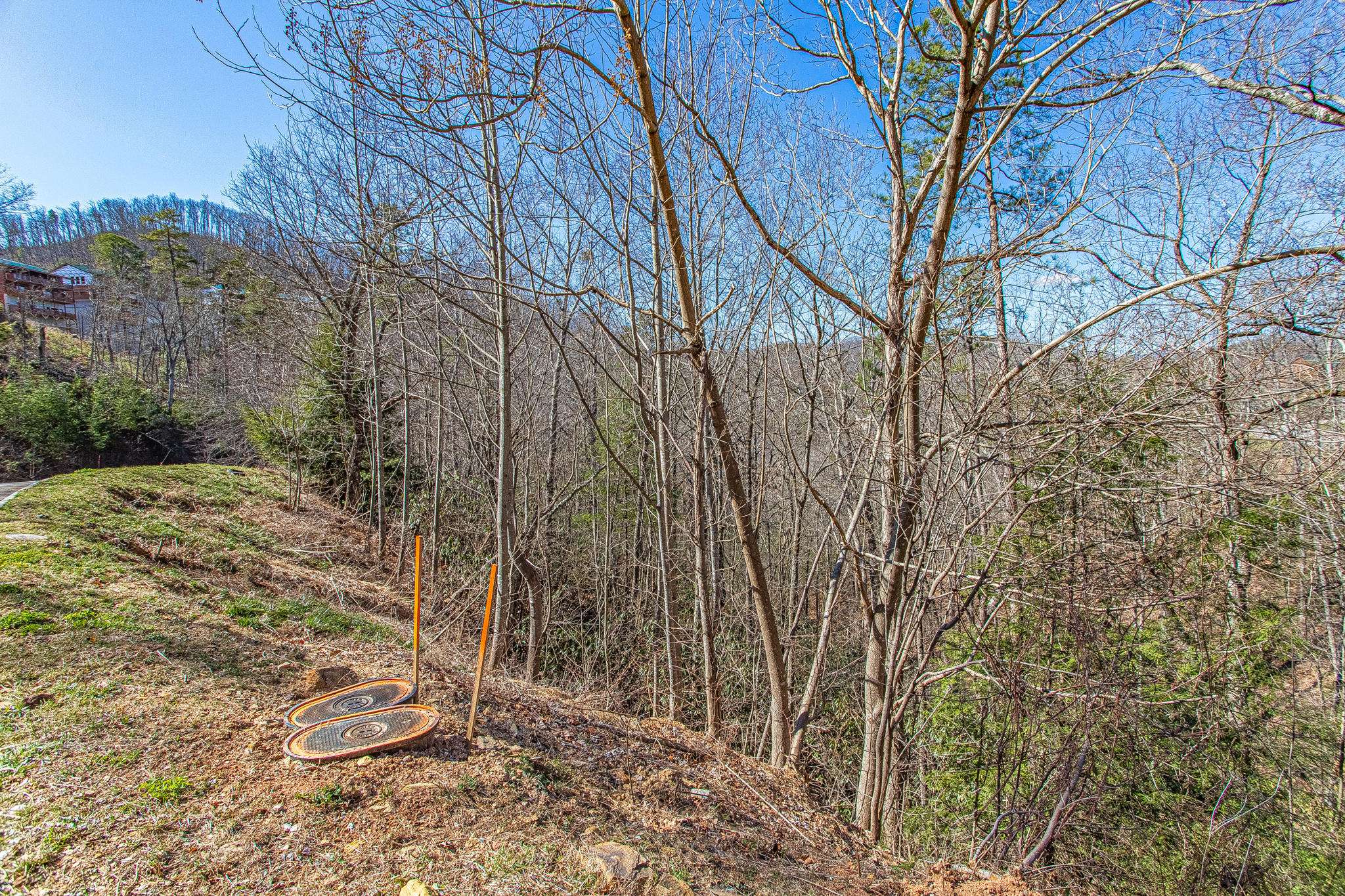 Sevierville, TN 37862,Lot #63 Smoky Ridge Way