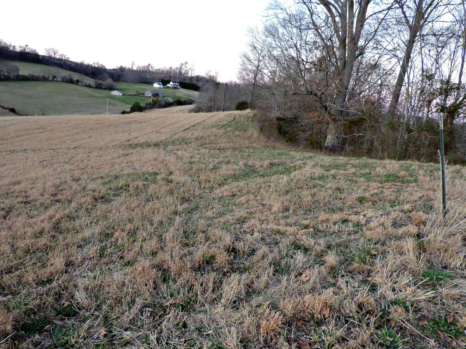 Rutledge, TN 37861,Lot 46 Holston River Drive