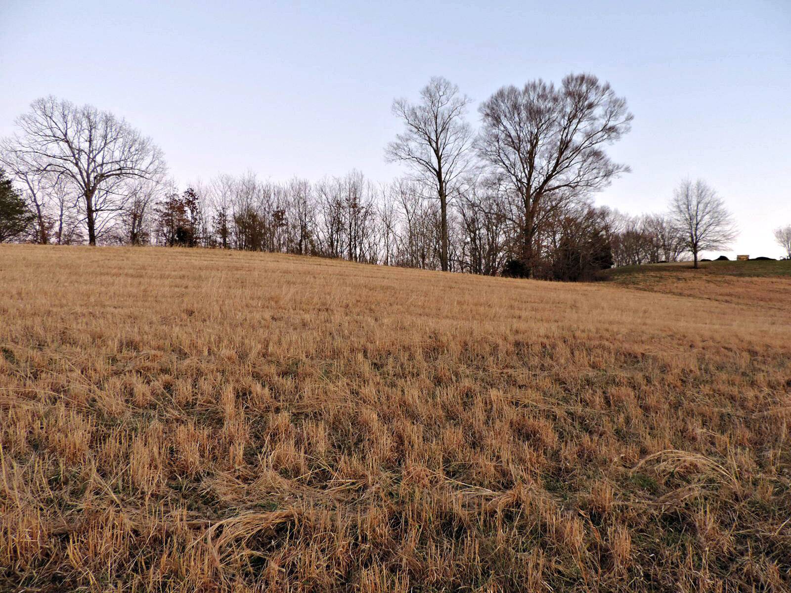 Rutledge, TN 37861,Lot 46 Holston River Drive