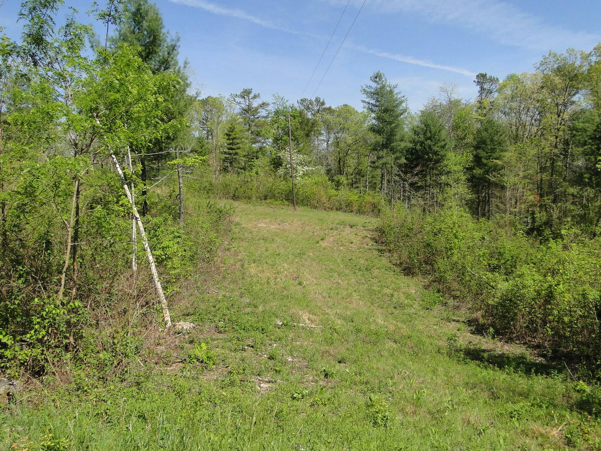 Tellico Plains, TN 37385,311 Epperson Road