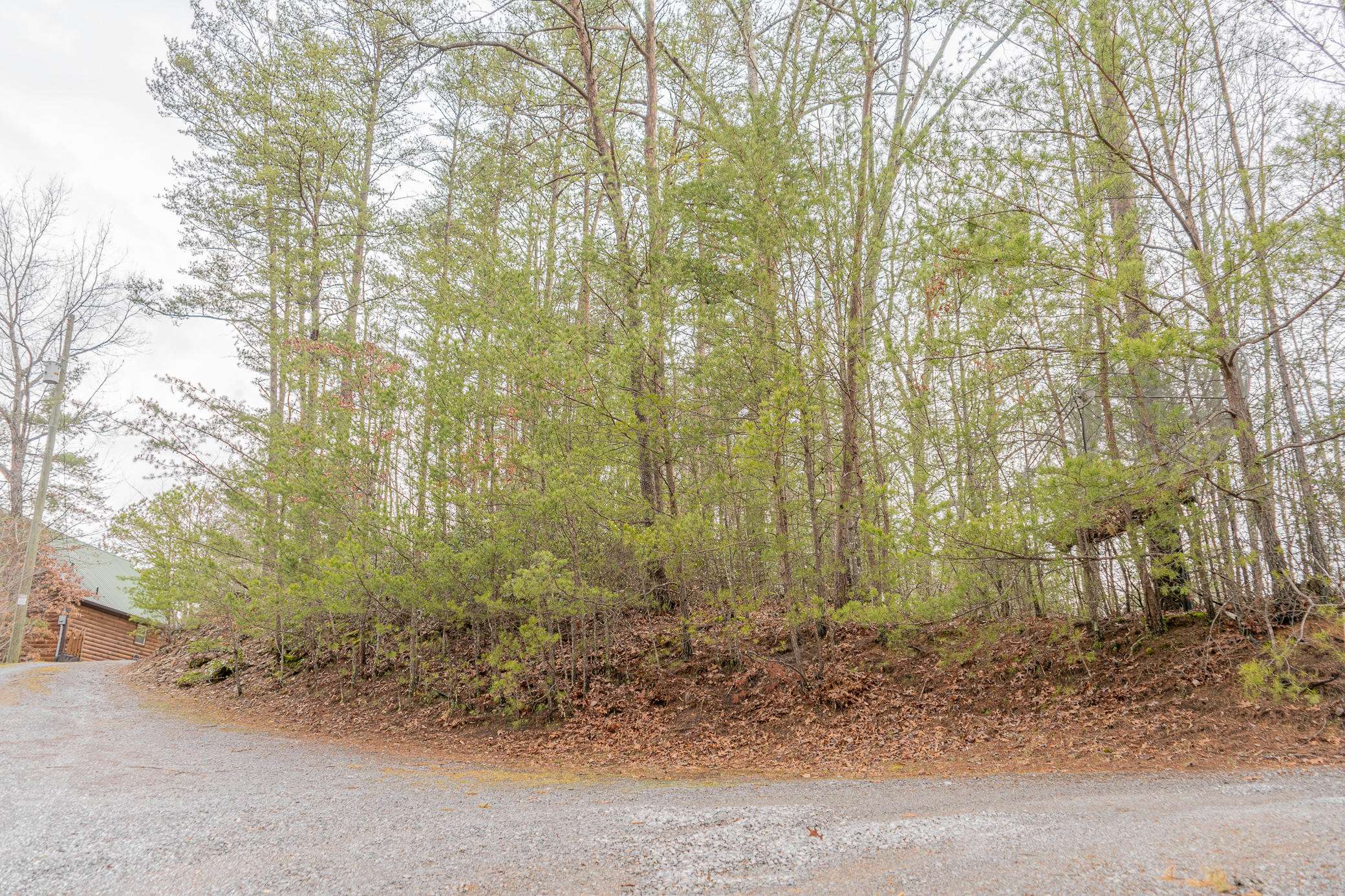 Sevierville, TN 37862,Teaberry Hill Way