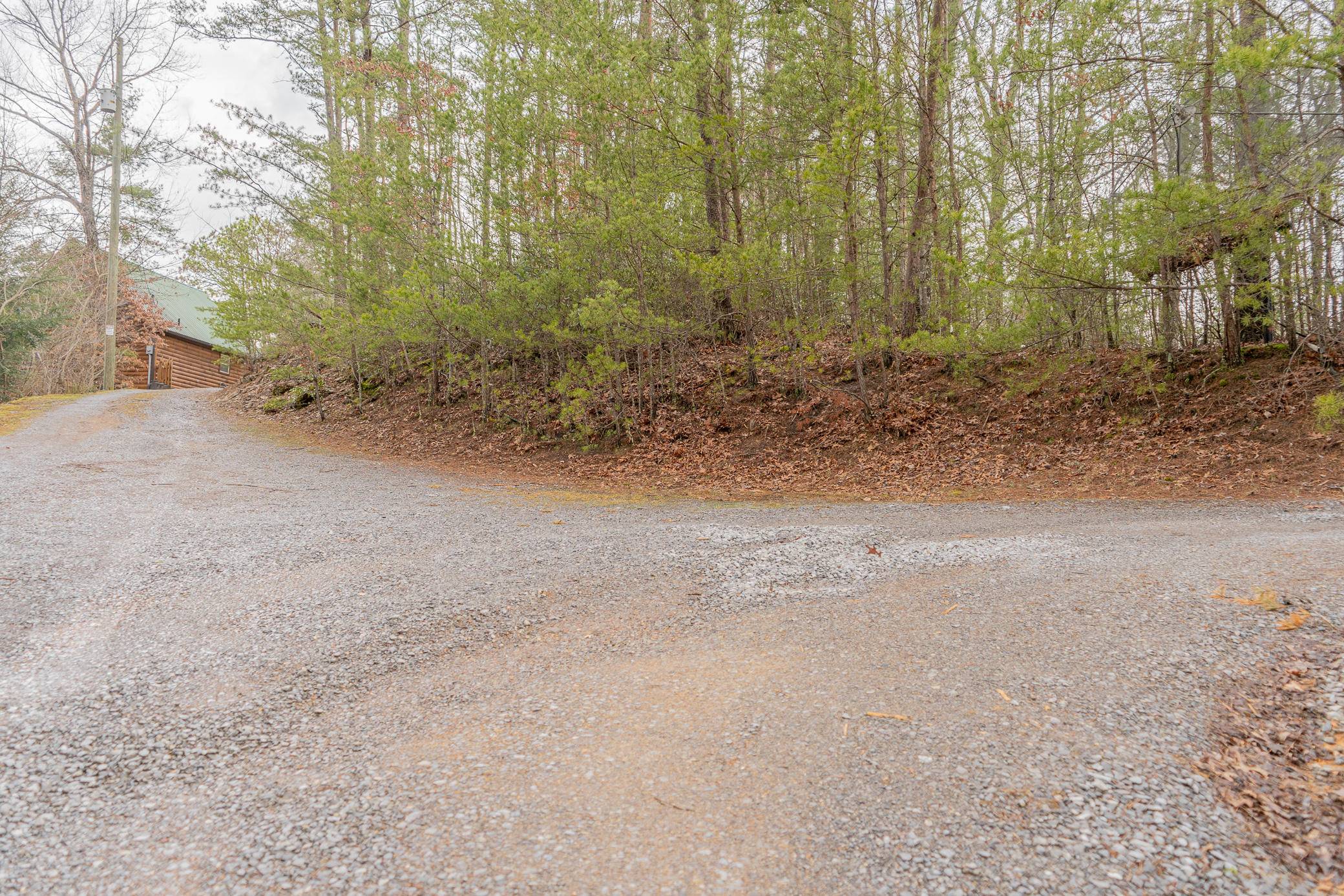 Sevierville, TN 37862,Teaberry Hill Way