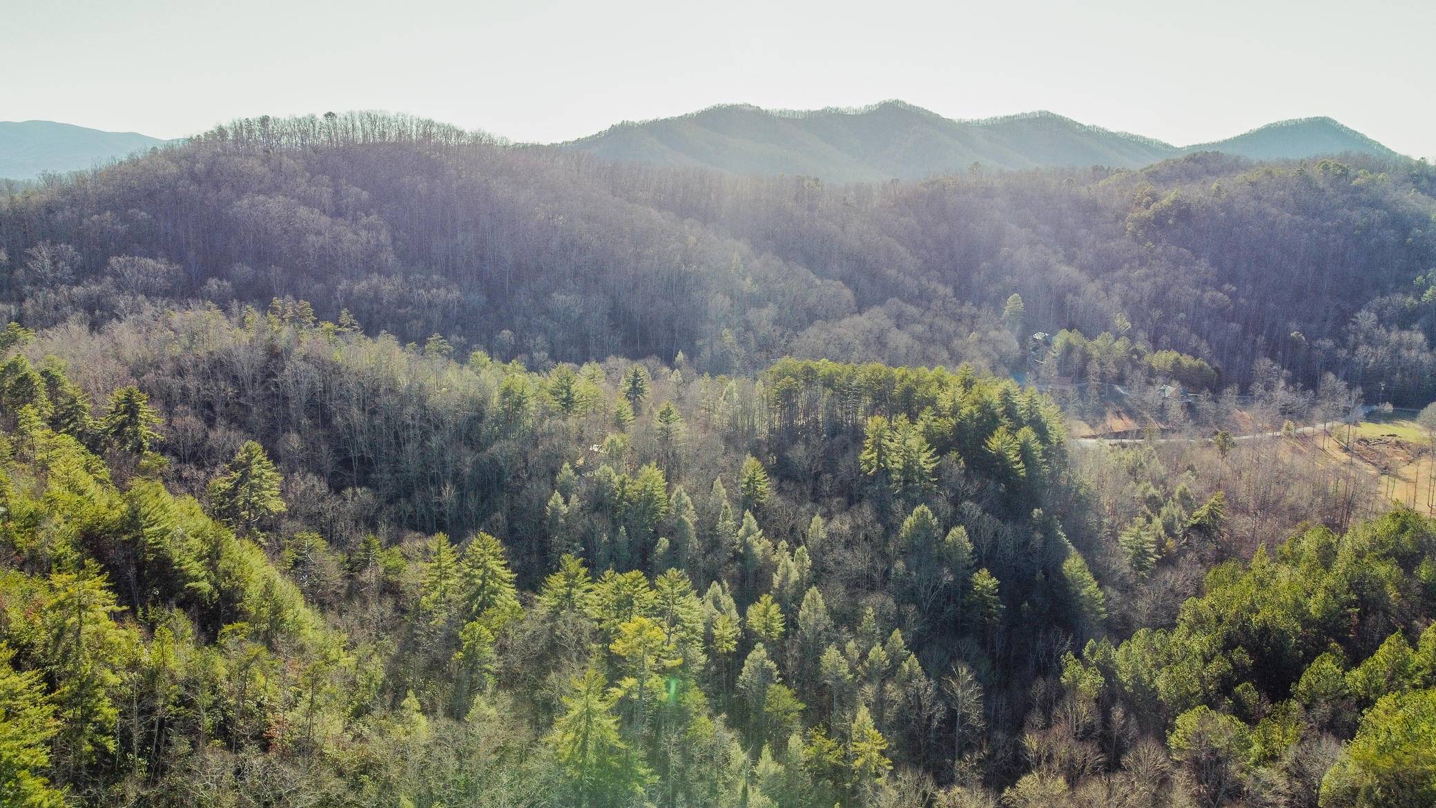 Sevierville, TN 37862,Teaberry Hill Way