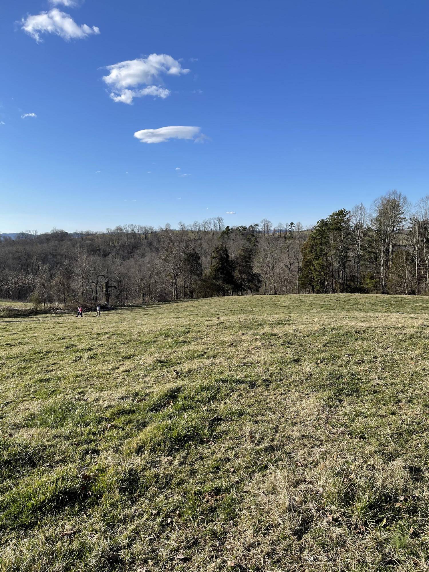 New Tazewell, TN 37824,TBD Heath Rd