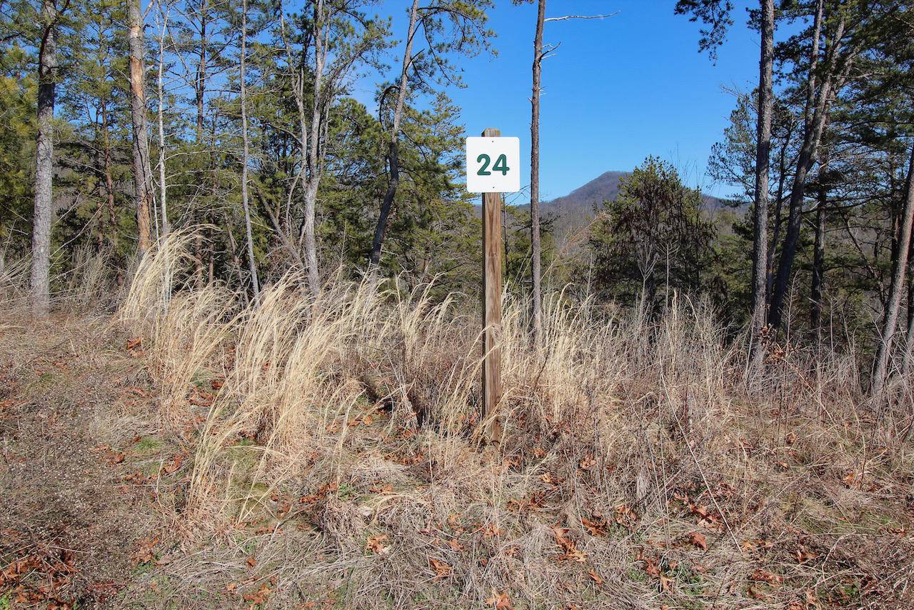 Sevierville, TN 37876,Lot 24 Mountain Ash Way