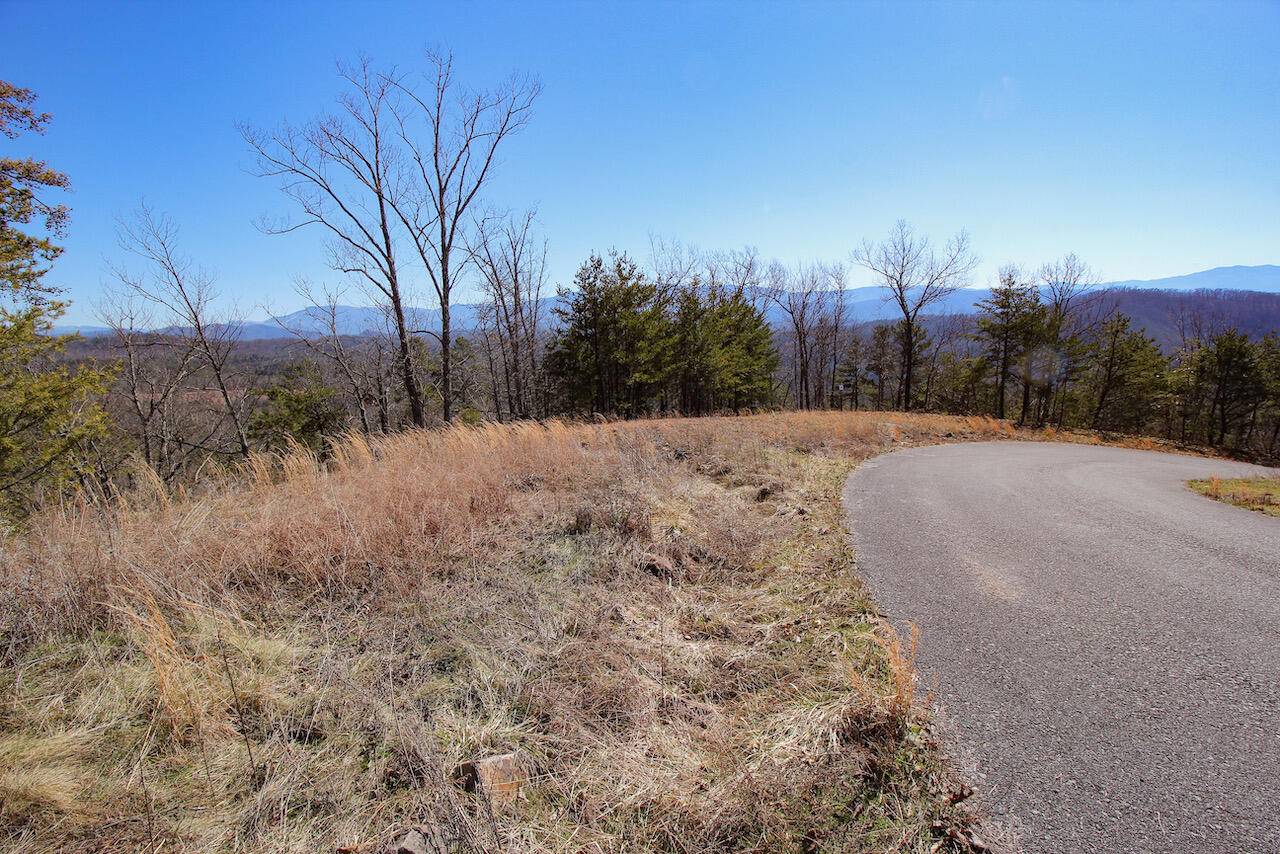 Sevierville, TN 37876,Lot 35 Mountain Ash Way