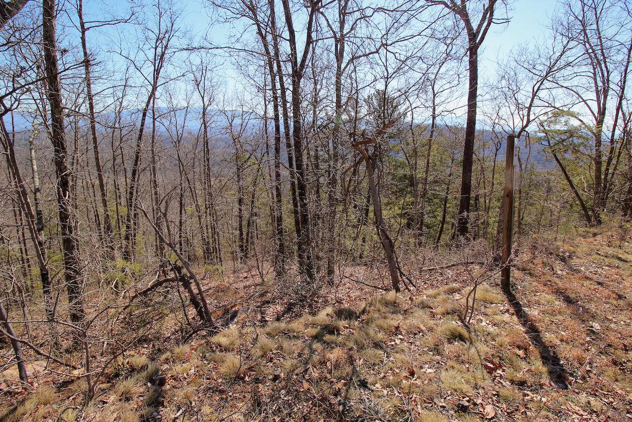 Sevierville, TN 37876,Lot 35 Mountain Ash Way