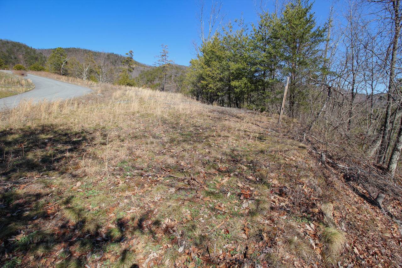 Sevierville, TN 37876,Lot 35 Mountain Ash Way