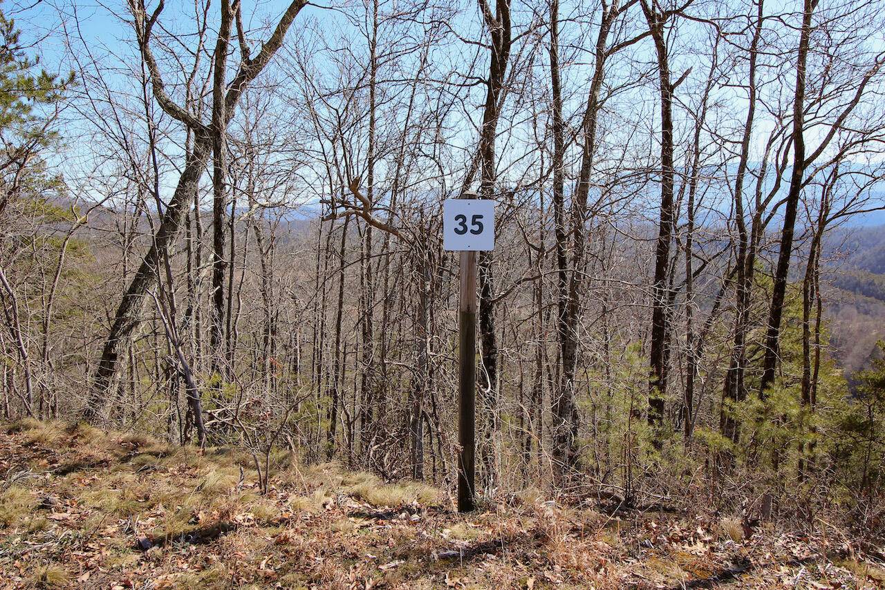 Sevierville, TN 37876,Lot 35 Mountain Ash Way