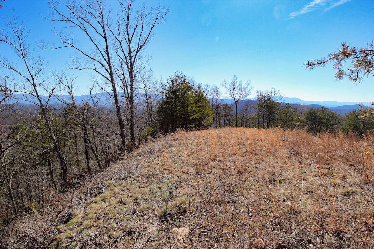 Sevierville, TN 37876,Lot 35 Mountain Ash Way