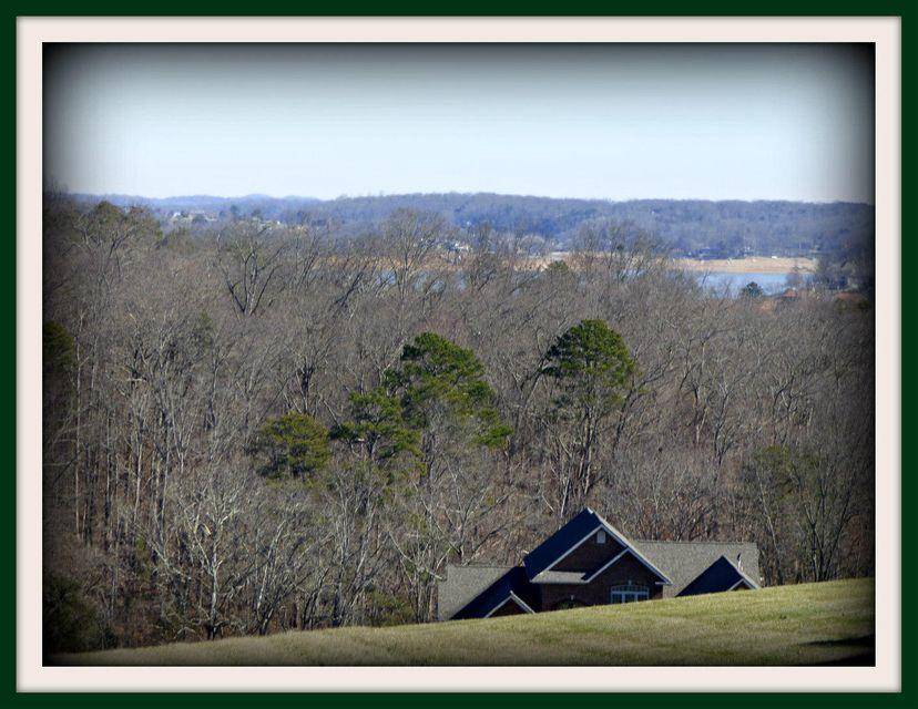 Dandridge, TN 37725,Lot 76 Serenity Overlook