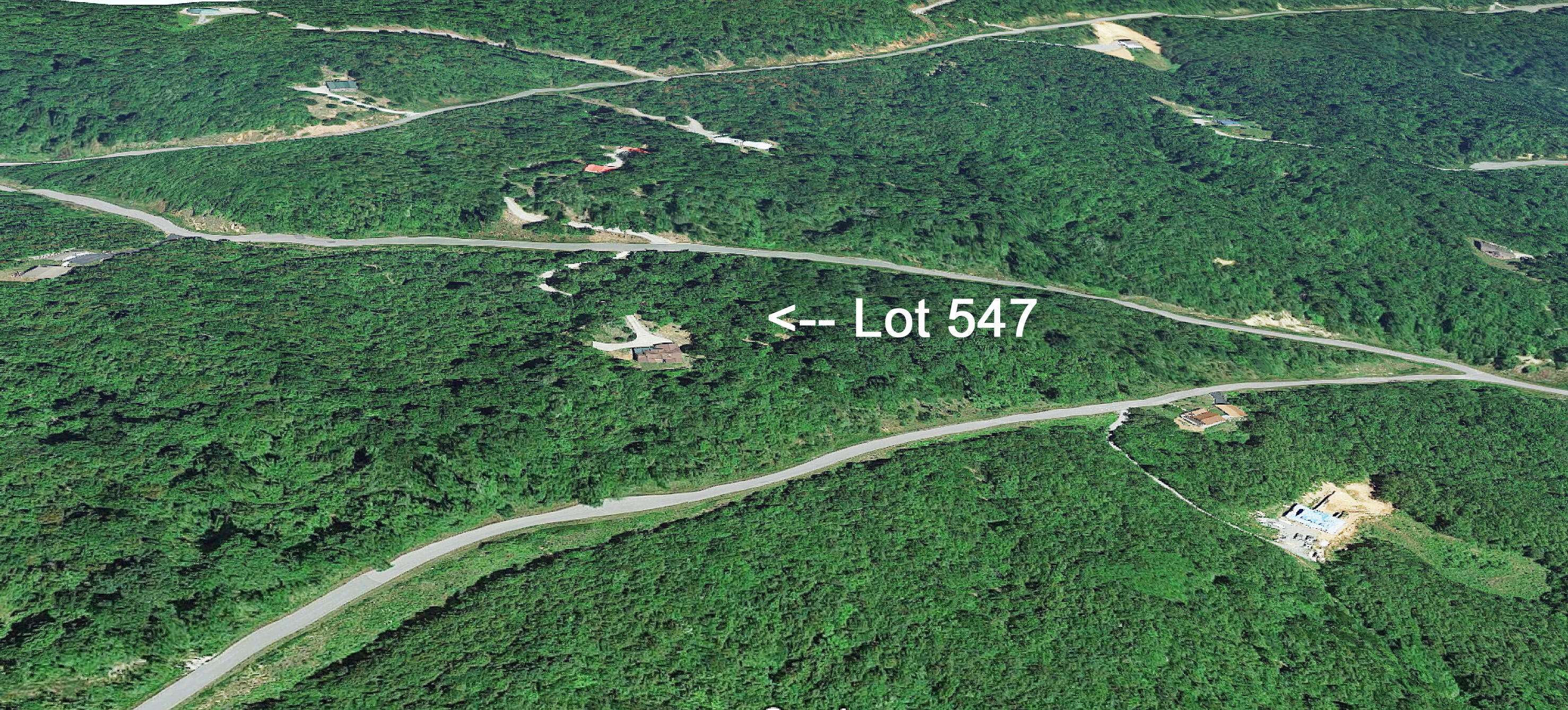 New Tazewell, TN 37825,Lot 547 Timber Creek Rd